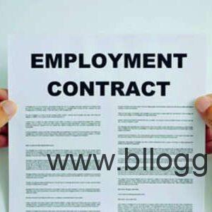 Things you should know before signing an Employment Contract.